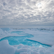 Image for article titled After More Than a Year on the Ice, the Biggest Arctic Research Mission Is Complete